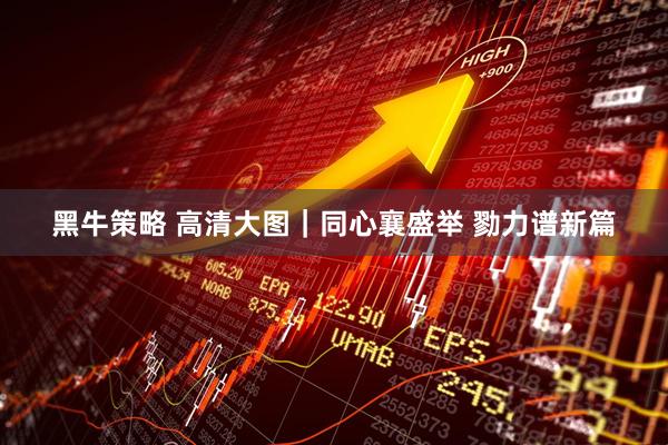 黑牛策略 高清大图｜同心襄盛举 勠力谱新篇