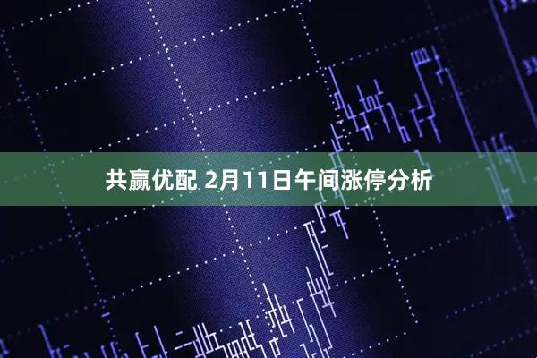 共赢优配 2月11日午间涨停分析
