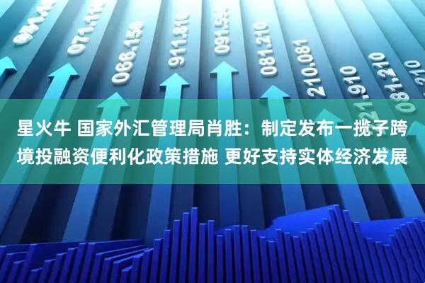 星火牛 国家外汇管理局肖胜：制定发布一揽子跨境投融资便利化政策措施 更好支持实体经济发展
