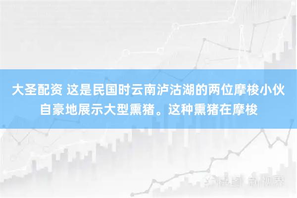 大圣配资 这是民国时云南泸沽湖的两位摩梭小伙自豪地展示大型熏猪。这种熏猪在摩梭